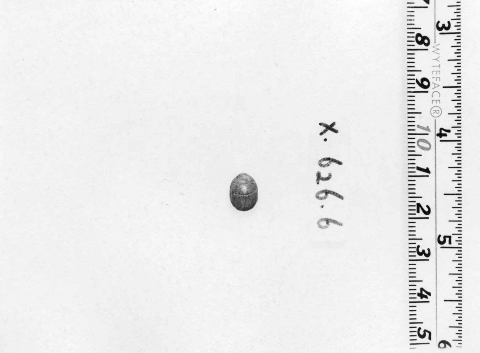 Scarab