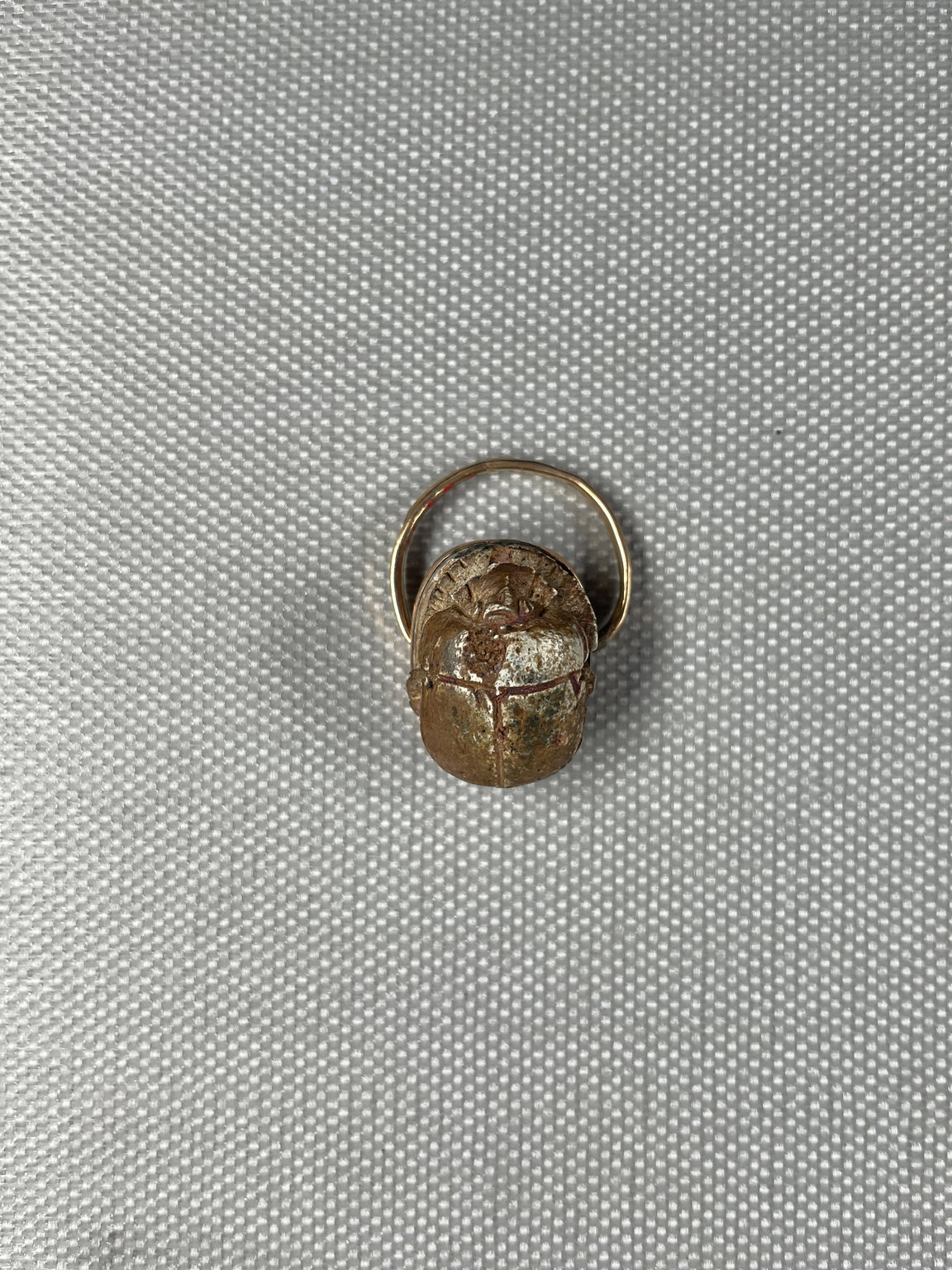 Scarab