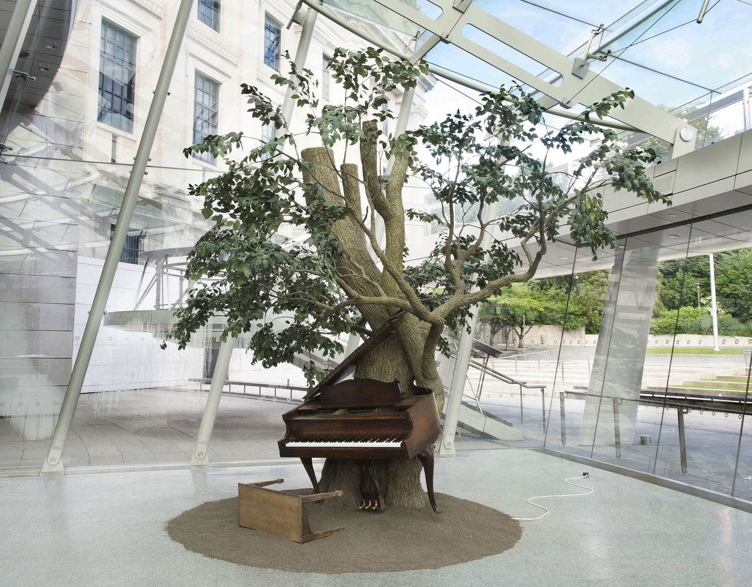Blossom · Brooklyn Museum