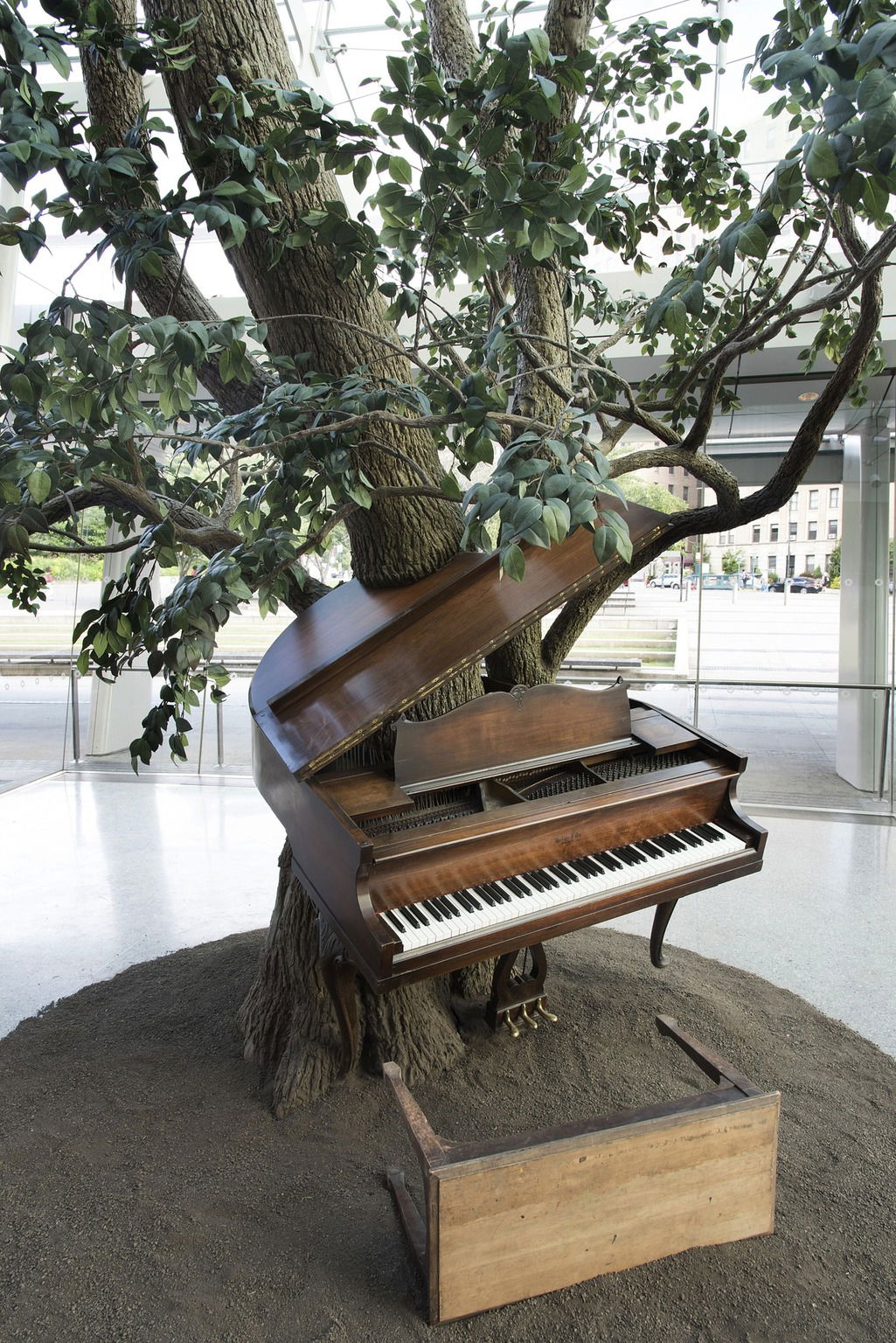 【万博非売品】THE STORY OF A TREE 万博非売品】THE STORY OF A TREE 万博非売品】THE STORY OF A TREE