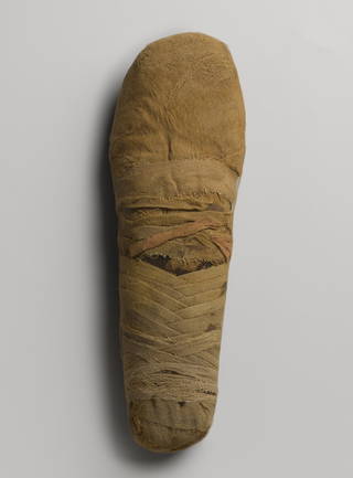 Ibis-Form Snake Mummies