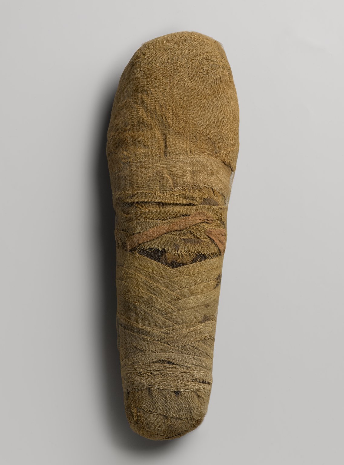 Ibis-Form Snake Mummies